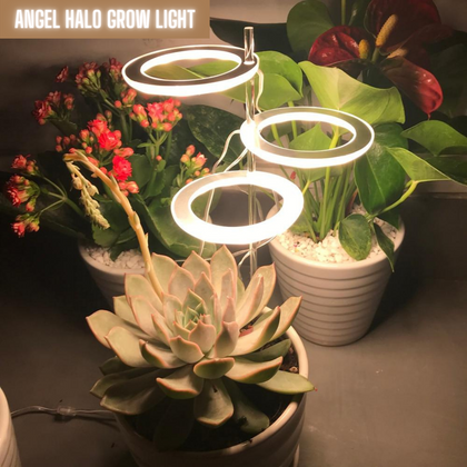 Angel Halo Ring Grow Light - Plantasiathemarket