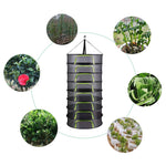 Hanging Drying Rack For Herbs or Vegetables - Plantasiathemarket