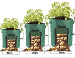 Potato Grow Bag - Plantasiathemarket