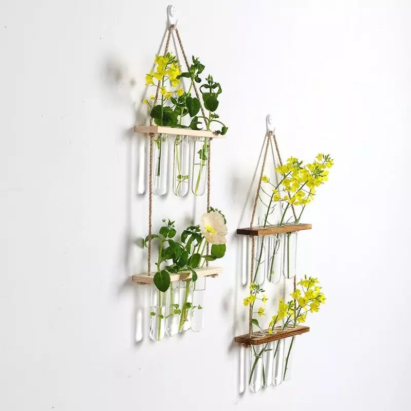 Wall Hanging Test Tube Propagation Station – Plantasiathemarket