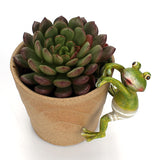 Mischievous Frogs Flower Pot Huggers - Plantasiathemarket