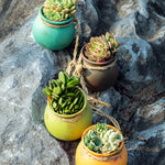 Succulent Ceramic Hanging Pots - Plantasiathemarket