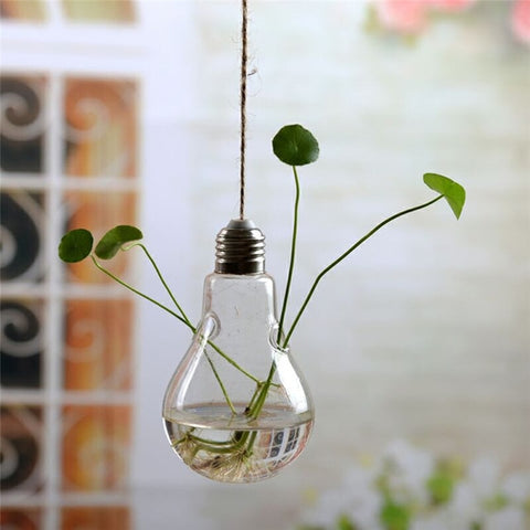 Hanging Glass Propagation Vases - Plantasiathemarket