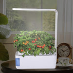Hydroponic Indoor Herb Garden Grow light - Plantasiathemarket