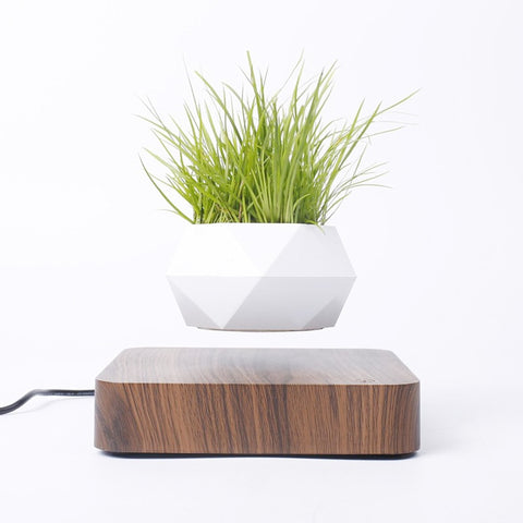 Levitating Floating Planter - Plantasiathemarket