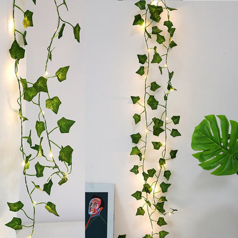 Ivy Vine LED Lights - Plantasiathemarket