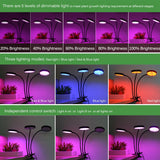USB Grow Light LED - Plantasiathemarket