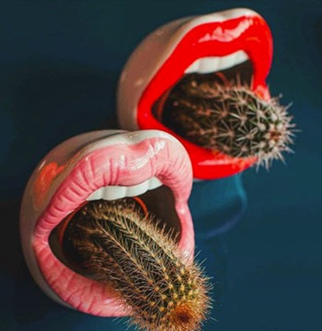Hot Lips Succulent Planter - Plantasiathemarket