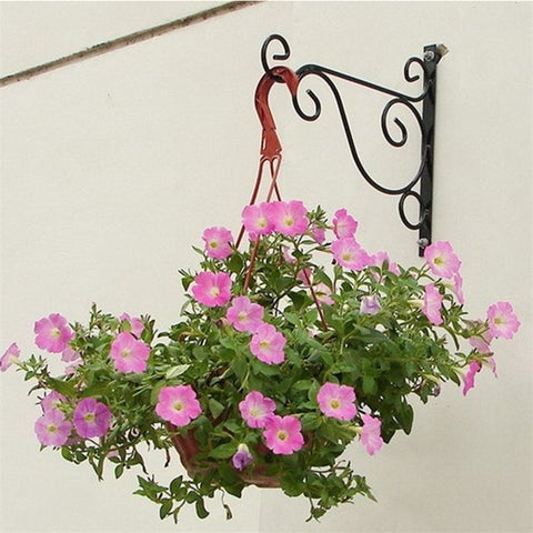 Hanging Plant Bracket - Plantasiathemarket