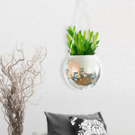 Disco Ball Hanging Planter - Plantasiathemarket