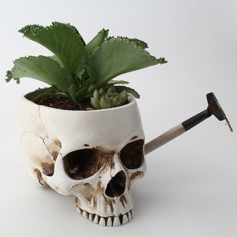 Skull Planter - Plantasiathemarket