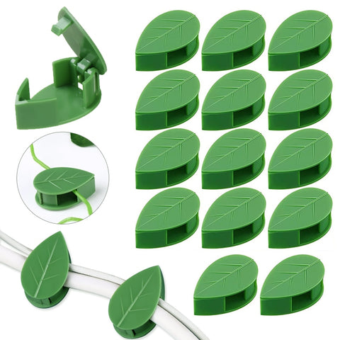 Climbing Plant Wall Clips - Plantasiathemarket