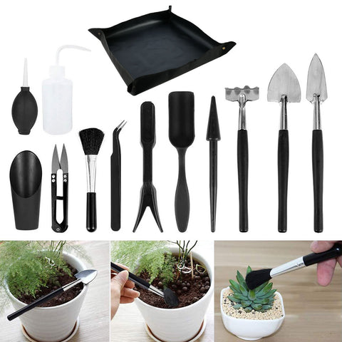 Planting Kit - Plantasiathemarket