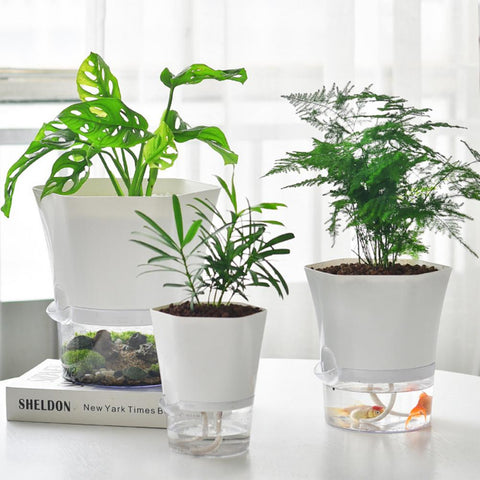 Self Watering Plant Pot - Plantasiathemarket