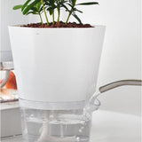 Self Watering Plant Pot - Plantasiathemarket