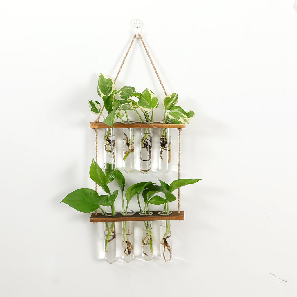 How to make a gorgeous test tube propagation station!