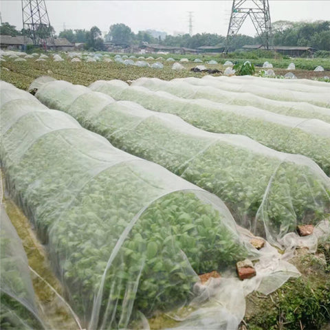 Garden Vegetable Insect Net Cover - Plantasiathemarket