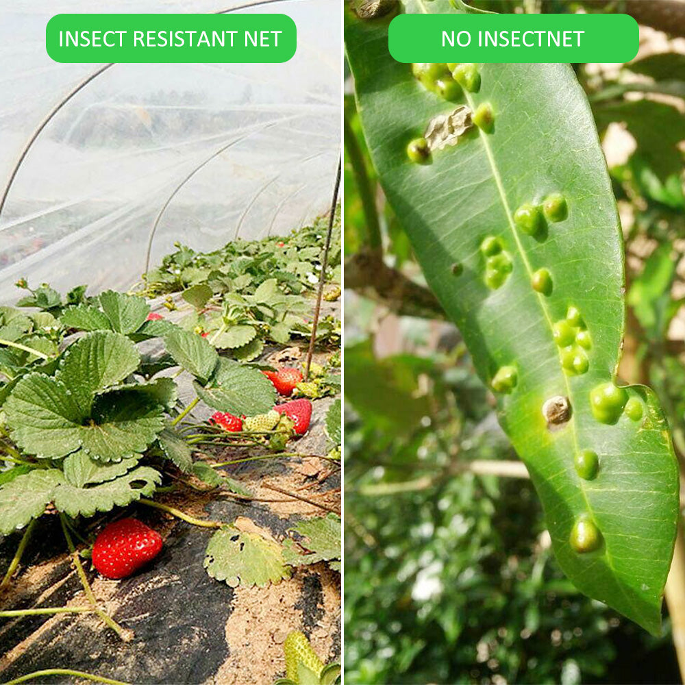 Garden Vegetable Insect Net Cover – Plantasiathemarket
